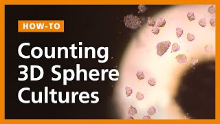 How to Count 3D Sphere Cultures Mammospheres Neurospheres Cancer Spheroids and PSC Aggregates [upl. by Egroeg]