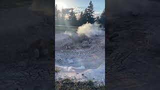 Red Spouter yellowstonenationalpark yellowstone geyser yellowstonepark [upl. by Plantagenet]