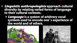 Introduction to Anthropology [upl. by Neiv225]