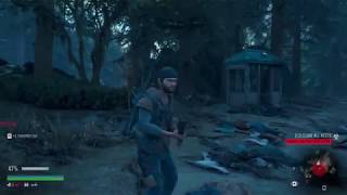 Days Gone Old Pioneer Cemetery Infestation Nest Location [upl. by Ognimod]