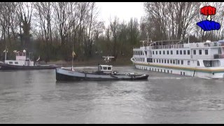 Passagiersschip MS VIRGINIA vast op Rijn bij Arnhem [upl. by Woodward]