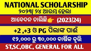 National scholarship 2023for ug students ll scholarship 202324 last date ll national scholarship [upl. by Anna969]