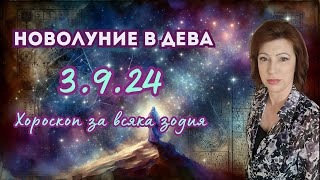 🎯НОВОЛУНИЕ 3ти септември 2024 в ДЕВА💦Хороскоп за всяка зодия💦 [upl. by Renard]