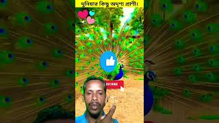 দুনিয়ার কিছু অদৃশ্য প্রাণী। invisible viralvideo animals shortsfeed [upl. by Bencion]