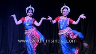 Indian girls perform Odissi dance in Delhi [upl. by Nylsej825]