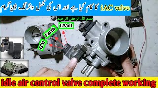 How to test Idle Air Control Valve P0505 HD  how to adjust IAC valve  IAC valve wiring diagram [upl. by Clarisse63]