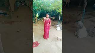 Sadiya lalki bhojpuri song dance youtubevideos subcerib [upl. by Suiravaj]