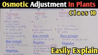 Osmotic Adjustment In Plants  Hydrophytes  Xerophytes  Halophytes  UrduHindi [upl. by Droffilc262]