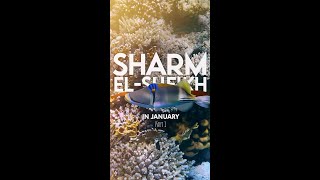 Sharm ElSheikh  Egypt in January  Part 1 [upl. by Thanos]