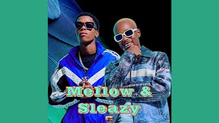 Mellow amp Sleazy  Ndiya Official Audio ft Xduppy ShaunMusiQ Ftears  Amapiano [upl. by Scarrow]