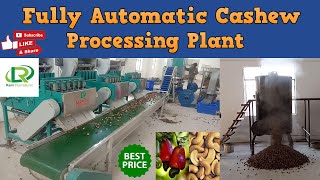 Fully Automatic Cashew Processing Plant  Cashew Processing Machine by Rami International [upl. by Norene679]