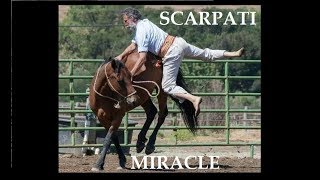 Amazing Old Horseman starting an 8 years old wild Mustang  Scarpati Horsemanship [upl. by Nwahsad403]