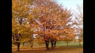 ANTONIO VIVALDI  Jesień  Autumn  Lautunno  Herbst  Lautomne  Otoño  1 [upl. by Riella]