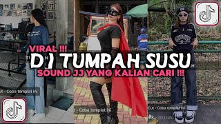 DJ TUMPAH TUMPAH SUSUNYA CAKEP TAPI SAYANG JADI BEBAN KELUARGA SOUND JJ VIRAL TIKTOK 2024 [upl. by Ahtamas]