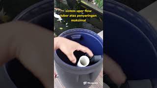 Filter Tong Kolam Koi DIY Bio Filter anti luber anti arus balik [upl. by Jodi]