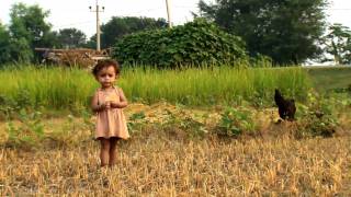 FAO in Nepal  Documentary version part 12 [upl. by Nifares]