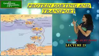 Endoplasmic Reticulum Lecture23 Cell Biology Protein sorting [upl. by Eninotna]