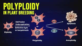 Polyploidy in Plant Breeding [upl. by Crowns]