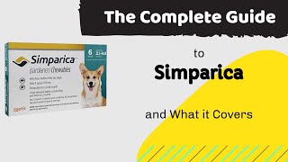 The Complete Guide to Simparica and What it Covers [upl. by Alletniuq396]