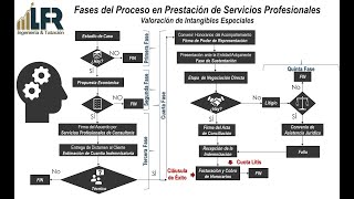 Video del Proceso para Prestación de Servicios en Daños y Perjuicios [upl. by Lorenz]