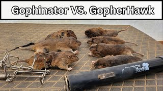 How One Trap Changed Gopher Control Forever [upl. by Ecineg]