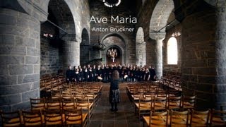 Schola Cantorum  Ave Maria Bruckner [upl. by Karylin]