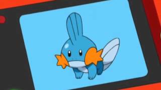 MEME MUDKIP EN ESPAÑOLLATINO [upl. by Wakerly]