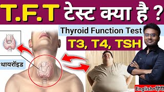 Thyroid  TFT test  TFT test in Hindi  Thyroid Function Test  Thyroid Gland  TSH  T3  T4 [upl. by Darken]