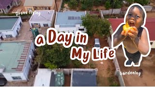 VLOG 🇿🇲 FLYING THE DRONE  How Gardening  EXOTIC Chickens africa lusaka dayinthelife [upl. by Gwyneth]