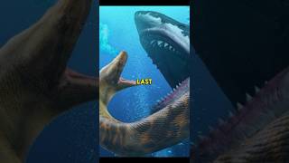 The Titanoboa Killed The Last Megalodon shorts [upl. by Eellah]