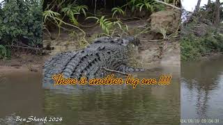 Queensland FNQ Mossman Gorge and Daintree National Park [upl. by Rowley]