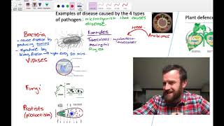 Pathogens and Immunity OCR A Level Biology 41 [upl. by Massimiliano]