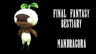 Final Fantasy Bestiary  Mandragora [upl. by Nesaj]