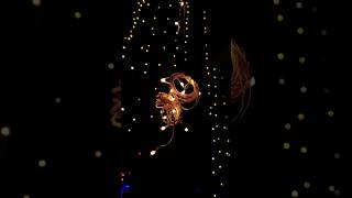 Best Diwali Home Decoration lights MeeshoAmazon Haul Diwali Star lights review shorts 2024 [upl. by Orme]