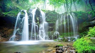 Relaxing Pure Music  Remove Negative Moods Generate Positive Energy Deep Sleep Spiritual Detox6 [upl. by Garrek144]