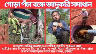 গাছ ঝিমিয়ে যাচ্ছে মাত্র ১টি নিয়মে ফুলকপি ও সকল ফসলের গোড়া পঁচা রোগ ১০০দমন।Damping Off In Seedlings [upl. by Anirtek]