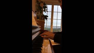 Wiegenlied 281 K350 Mozarts Lullaby  Played by David Meister [upl. by Lehcer]