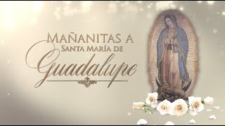 Mañanitas a la Virgen de Guadalupe 2022 Televisa [upl. by Llehcam]