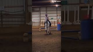 Just a video from last week 🩵 horses horse showjumping horseriding equestrian horsejumping [upl. by Halas]