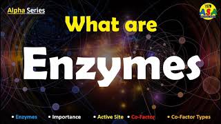 What are Enzymes in Urdu Hindi [upl. by Eceinert]