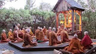 Pali Chanting In The Abhayagiri Buddhist Monastery Theravada Buddhism [upl. by Mlawsky]