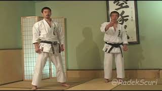 Hirokazu Kanazawa  Mastering Karate  Vol3  Kihon Ido ShodanLevel Combinations [upl. by Airetak]