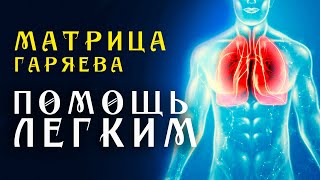 Матрица Гаряева Полное Восстановление Легких 🌀 Квантовое исцеление звуком 🌀 Насыщение Кислородом [upl. by Swayder]