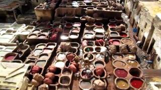 Gerberei von Fez in Marokko  Tannery of Fes in Morocco  Tanneries de Fés Maroc [upl. by Napier]