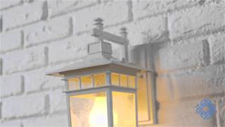 Nuvo Lighting Cove Neck 1 Light Outdoor Wall Sconce  Bellacor [upl. by Eiznikam451]