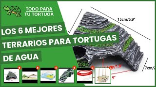 Los 6 mejores terrarios para tortugas de agua [upl. by Okimuk]