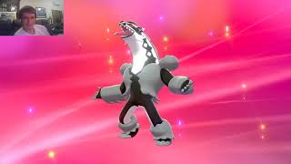 How to evolve Galarian Zigzagoon and Galarian Linoone Pokémon Sword [upl. by Yzzik]