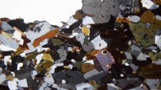 AmphiboleBiotite MicroTonalite Thin Section [upl. by Aicirpac]