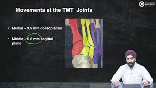 Lisfranc Injury everything you need to know by Dr Maninder ConceptualOrthopedics [upl. by Eveiveneg]