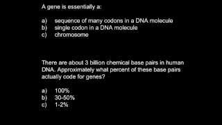 Genes and codons [upl. by Inaffyt]